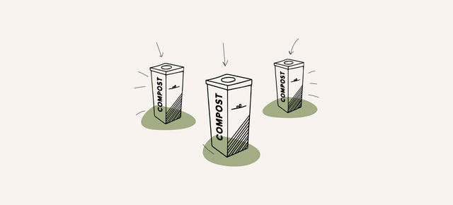 The Circular Economy Explained