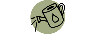 Display Image